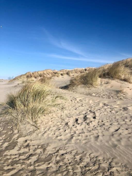 Charmant Zeehuys 100M Van Zee Dichtbij Brugge Blankenberge Kültér fotó